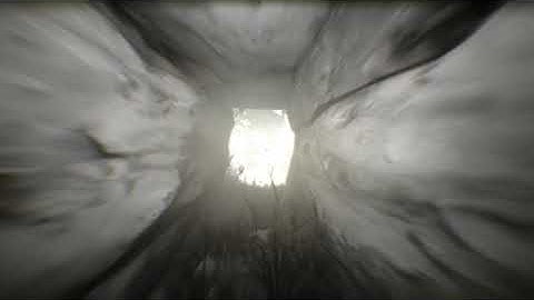 The Observer - Neural Link