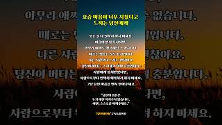 마음을지키는법7가지 #1분인생진실 #마음회복 #위로되는말