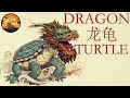 Chinese dragon turtle  everything you need to know