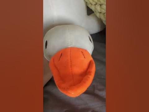 Гуся убийца - YouTube