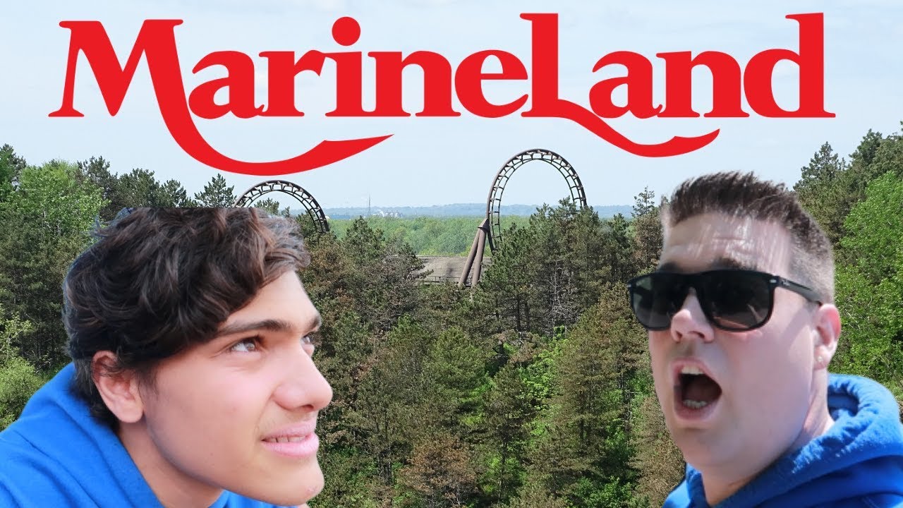 First Visit To Marineland YouTube