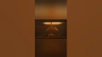 Hydrogen Bomb Test 1955 Soviet Shorts RDS 37 Like Subscribe 
