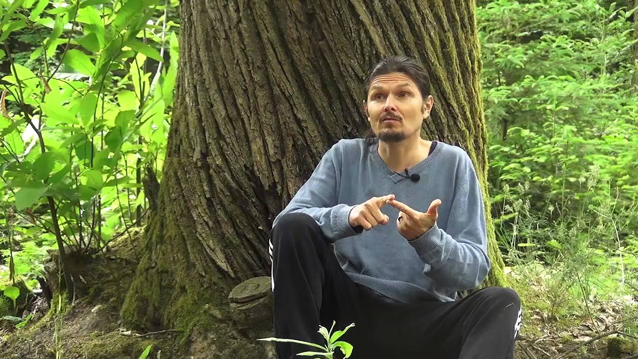 Sur-développement bactérien dans l'intestin , du cerveau aux intestins et vice versa 5- regenere.org