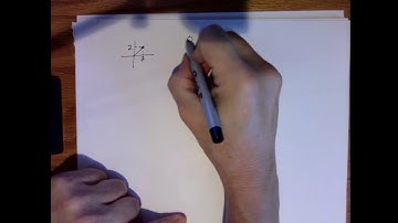 Digital Signal Processing: Euler