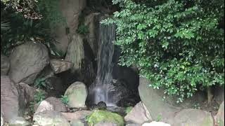 JAPANESE GARDEN 🪴 - ЯПОНСКИЙ САД