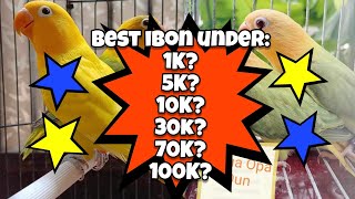 Best Ibon Under 1K 5K 10K 30K 70K at 100K