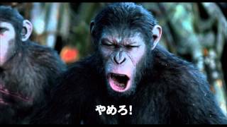 映画「猿の惑星：新世紀（ライジング）」TV-SPOT（Bridge)30秒