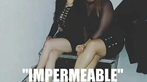 IMPERMEABLE  Erika Lpez ft  Fany y la selecta