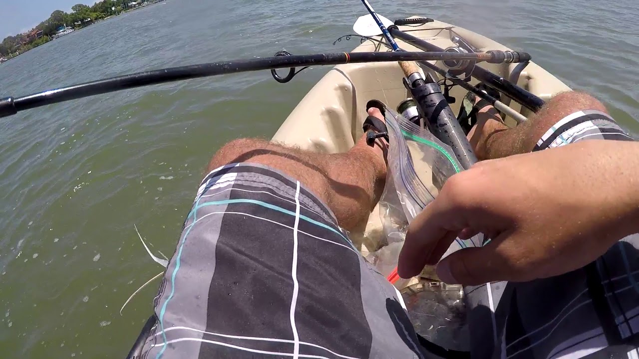 new smyrna beach Kayaking fishing caught lot of different fish. YouTube