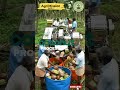coconut processing #agrimissionindia #agritech