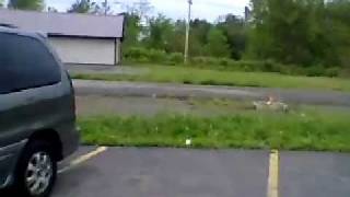 2005 Kia Sedona EX Walkaround & Review