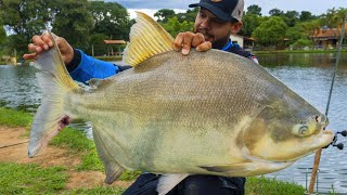 ISCA MILAGROSA ME FEZ PEGAR UM PEIXE EM 10 SEGUNDOS