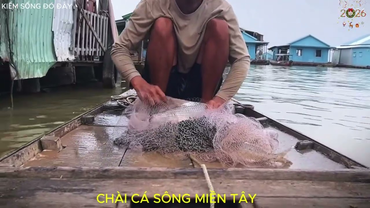 CHÀI CÁ SÔNG TIỀN - TRÚNG BẦY CÁ TRÁ DINH