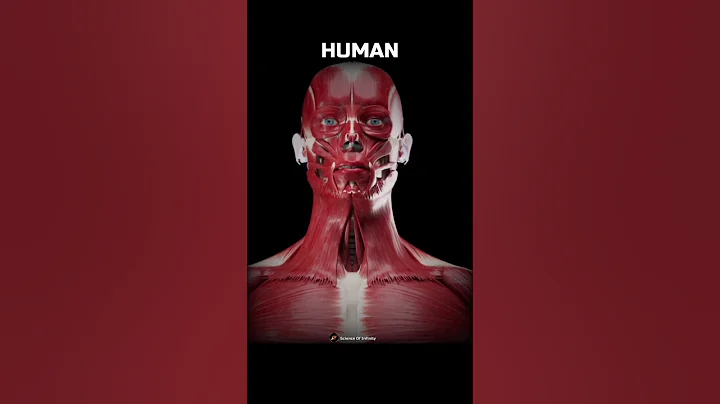 Smallest objects in the universe! 💀🤯 #Shorts #Universe #Biology #Physics #Science #Space