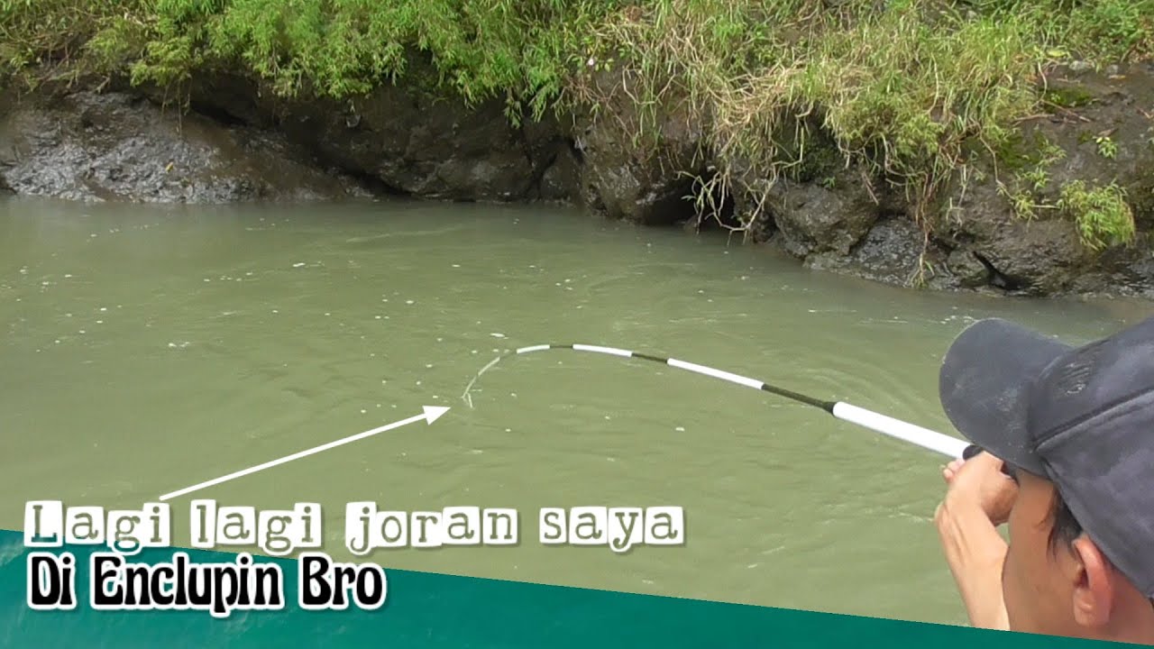DENGAN UMPAN INI MANCING NILEM TERASA MUDAH DI SAAT AIR SUNGAI KERUH