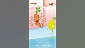 سبيستون فلفول سلطة قطع خرط 