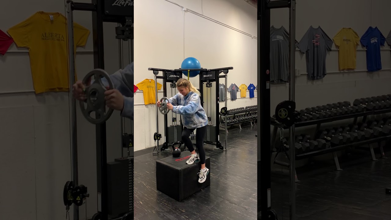 1-Leg Squat off Box w/Plate Offset