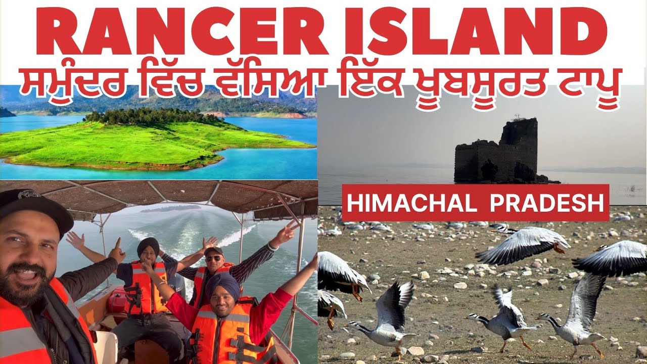 Остров Рансер, плотина Понг, Химачал-Прадеш