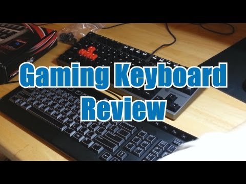 Mechanical Keyboard vs Regular Keyboard For Gaming, O-Ring Mod, CM Storm Quickfire Rapid Blue Review