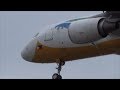 真下からドアップ！SEBU PACIFIC A320 16L Landing NaritaAirport hironuma