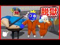 あの看守に捕まったレインボーフレンズのブルーと刑務所から脱出してみた!!【ROBLOX/ロブロックス】