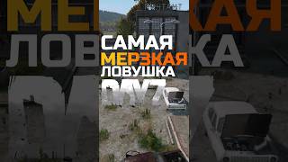 Dayz гайд 2023 | Дейз гайд по ловушке #dayz #dayzpvp #dayz121