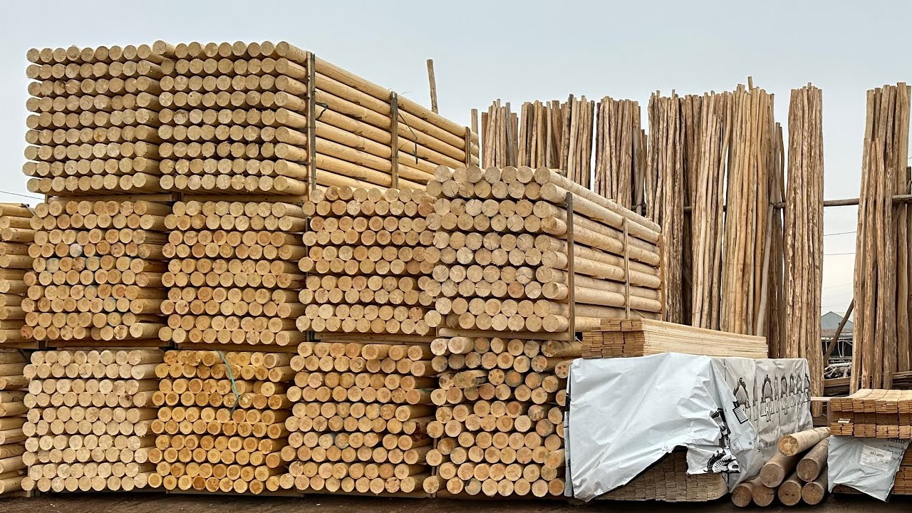 URGANCH TAXTA BOZOR 🔥 TAXTA YOG'OCH SHIFER STRAPILA TERAK NARXLARI #ASLBOY