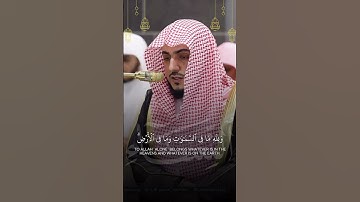قبس من تراويح ليلة ٧ رمضان ١٤٤٦هـ | تلاوة فضيلة الشيخ د.الوليد بن خالد الشمسان