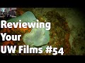 Reviewing your underwater films 54  scott lauer