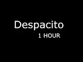 Despacito - 1 Hour