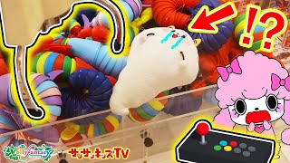 【クレーンゲーム】サンサンくもりんが閉じ込められた！？ゲームをクリアして脱出せよ！子供向け知育教育★サンサンキッズTV★ screenshot 5