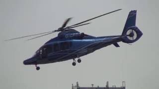 London Heliport  EC155, AW139, Bell 429