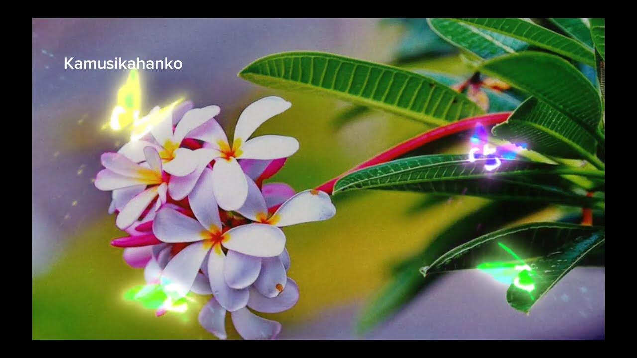 Relaxing music, Relieves stress,Anxiety and Depression, Calming music,healing of stress, Sleep music Relaxing music, Relieves stress,Anxiety and Depression, Calming music,healing of stress, Sleep music