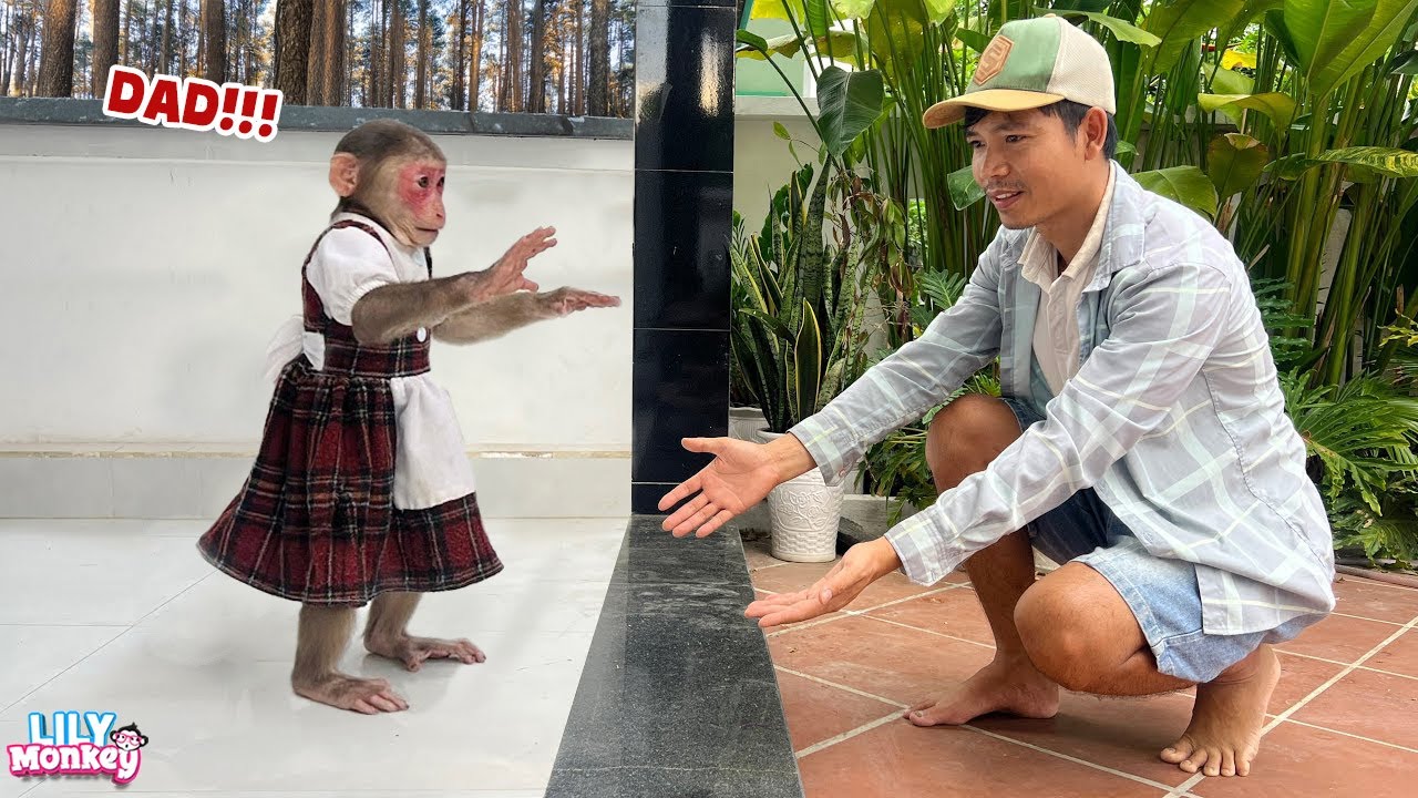 So cute! Lily's reaction when dad comes home from work | Lily's story