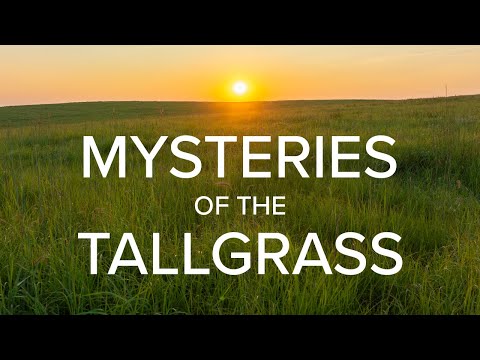 Mysteries of the Tallgrass: A Flint Hills Adventure