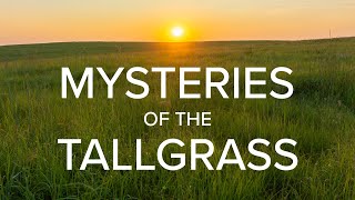 Mysteries of the Tallgrass: A Flint Hills Adventure