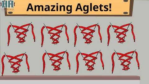 All Commodity Value Training Video