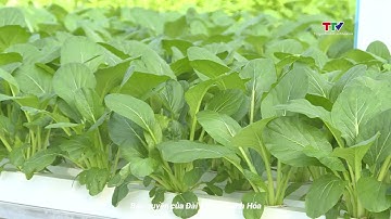 Nhân rộng mô hình hợp tác xã nông nghiệp ứng dụng công nghệ cao