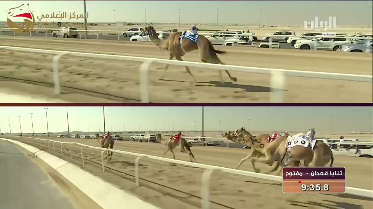 مهرجان المؤسس -  ثتايا قبائل- 26-12-2016 م – ش2 الوسمي لـ سعيد محمد سالم الوهيبي 12:33:8