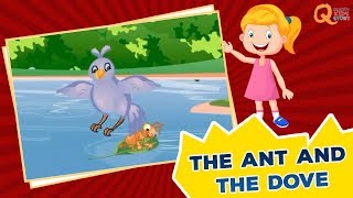 Animated Stories Collection | The Ant and The Dove | Quixot Kids