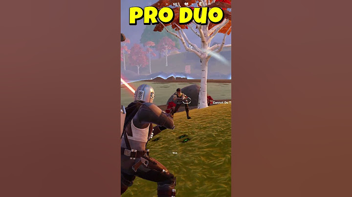 Pro duo #fortnitememes #shortsvideo #shortsviral #shortsfunny
