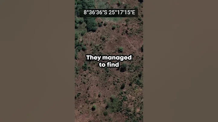 Huge News about the Congo Snake Photo!! #snake #cryptids #animals