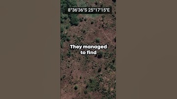 Huge News about the Congo Snake Photo!! #snake #cryptids #animals