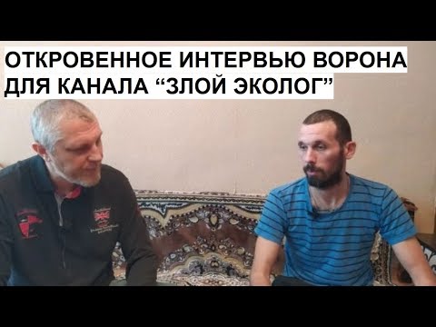 Злой эколог на дзен последнее