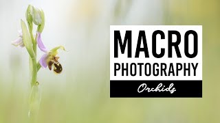 MACRO PHOTOGRAPHY | Orchids - VICTORIA HILLMAN screenshot 3