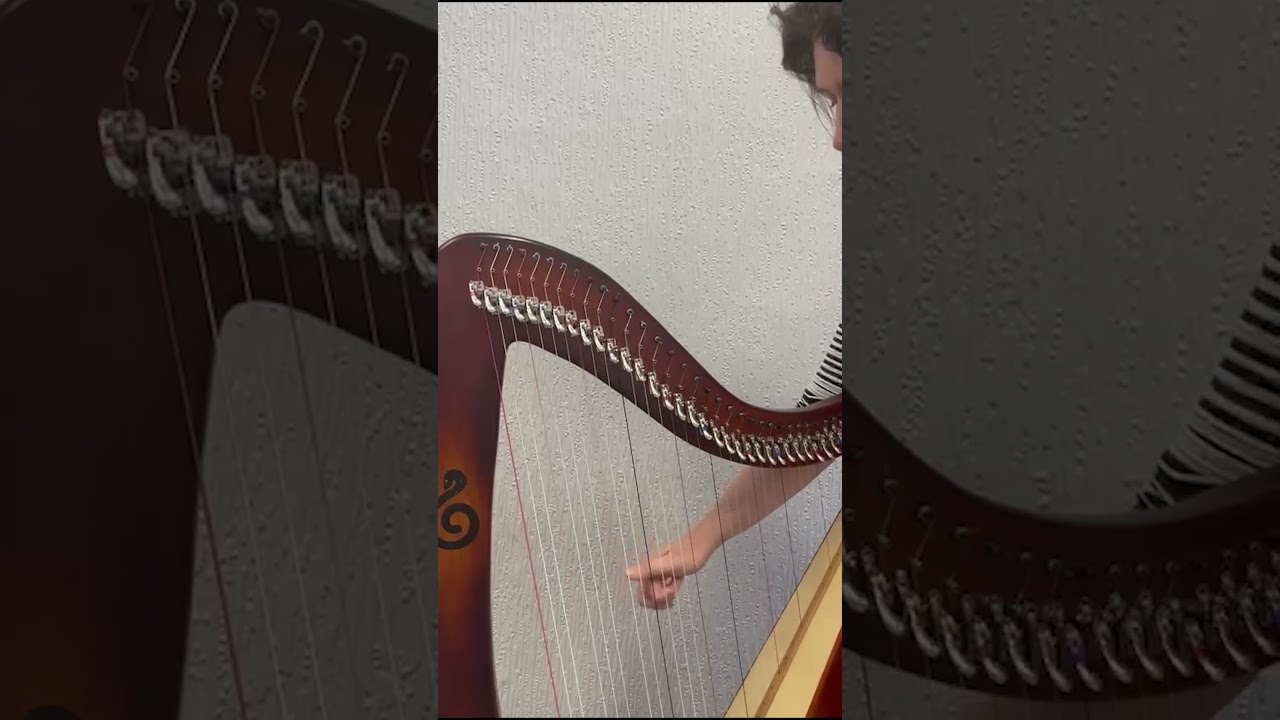 Understanding the Harp: What is a Lever Harp? 🎶