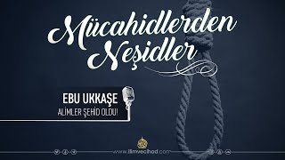 Alimler Şehid Oldu! | Ebu Ukkaşe (Türkçe Neşid) Resimi