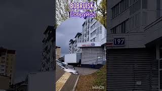 Бобруйск. Беларусь. Улица Социалистическая. Bobruisk.  Belarus.  Socialist street.