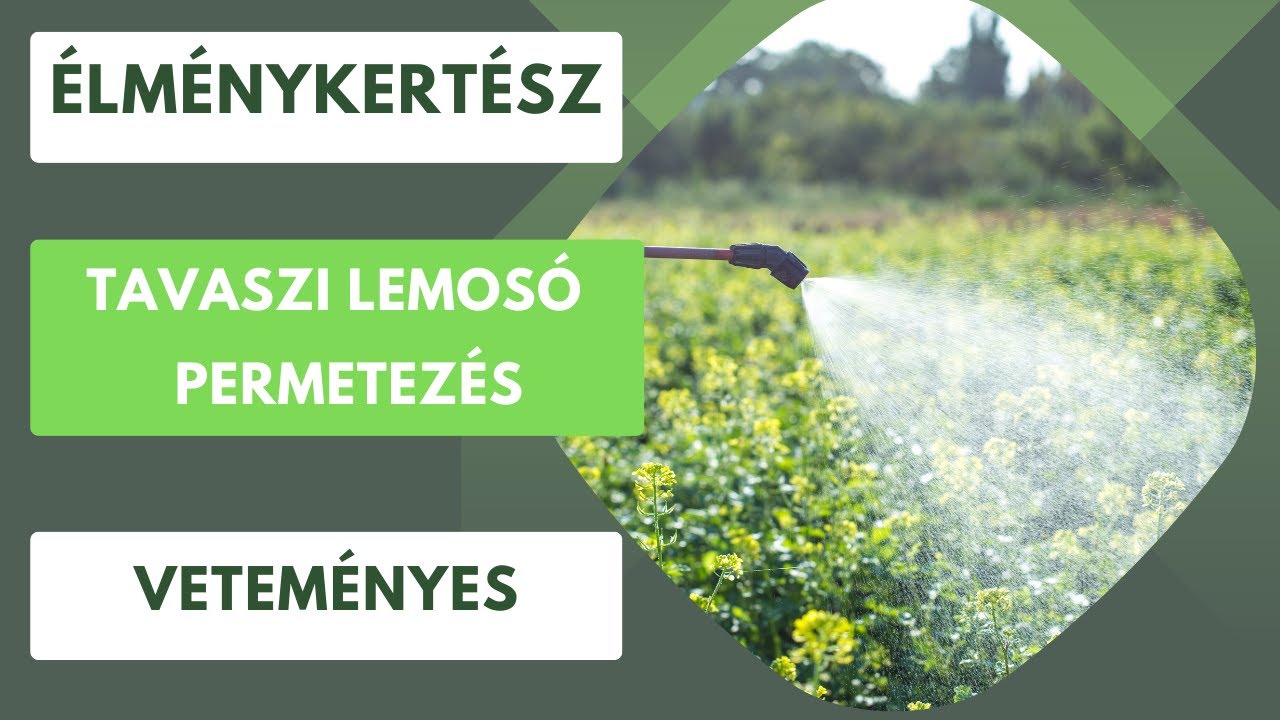 Tavaszi lemosó permetezés a kertben bio módon🏡