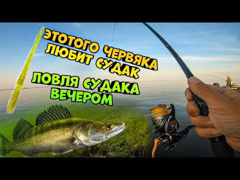 Этого червяка любит